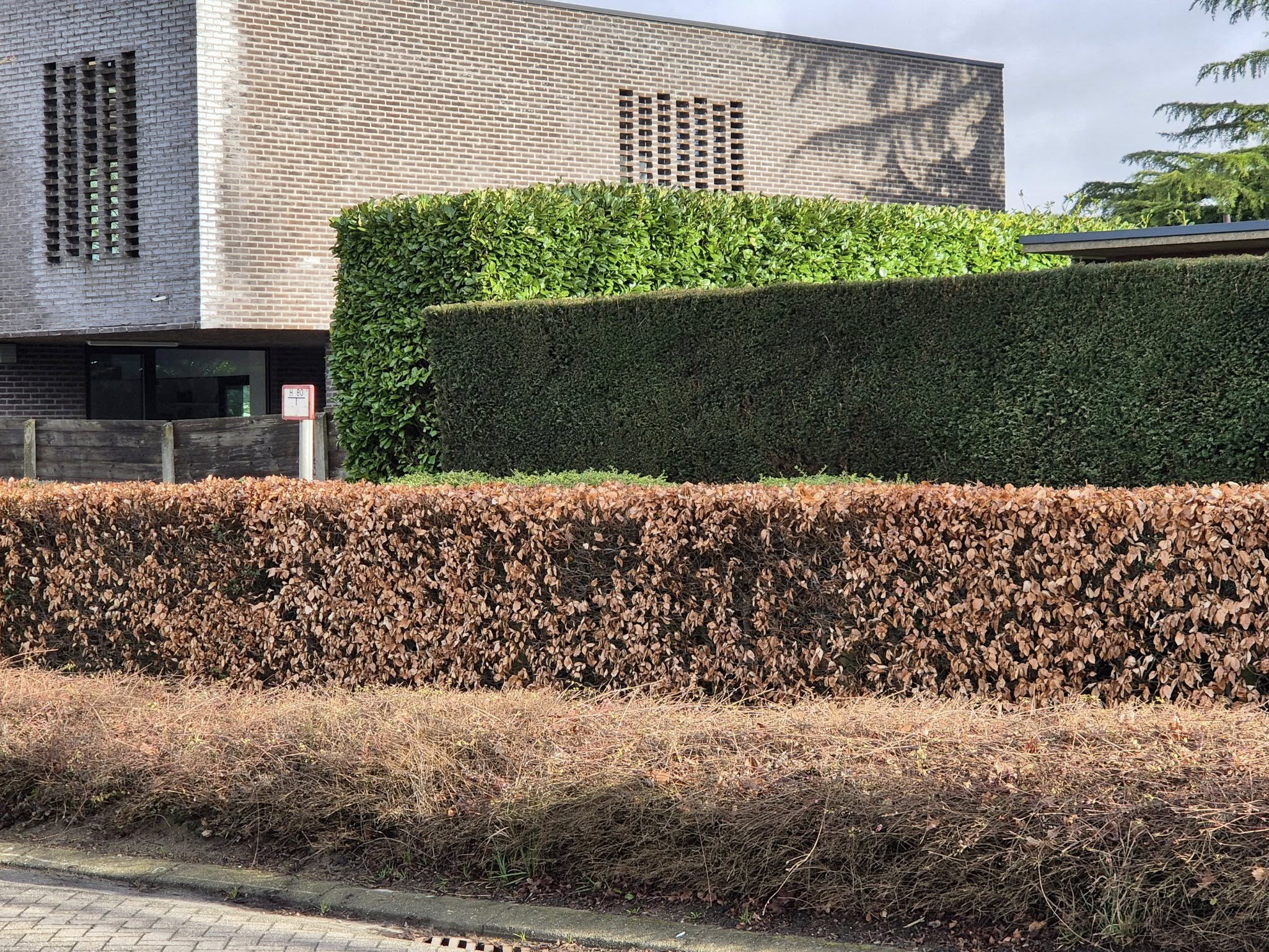 Realisatie van DW Klus & Tuinwerken